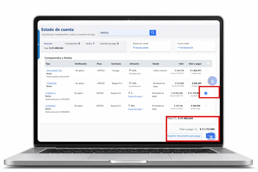 Hompage 6 Seleccionar y pagar la multa